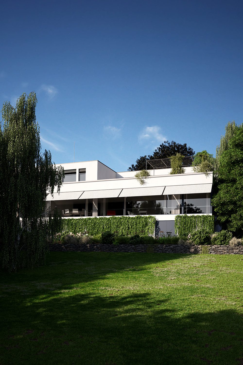 VILLA TUGENDHAT TRIBUTE