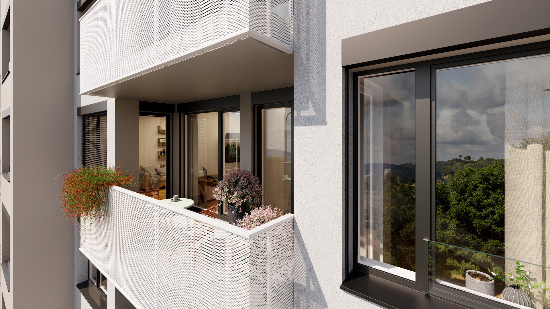 VIVUS / HODKOVICKY