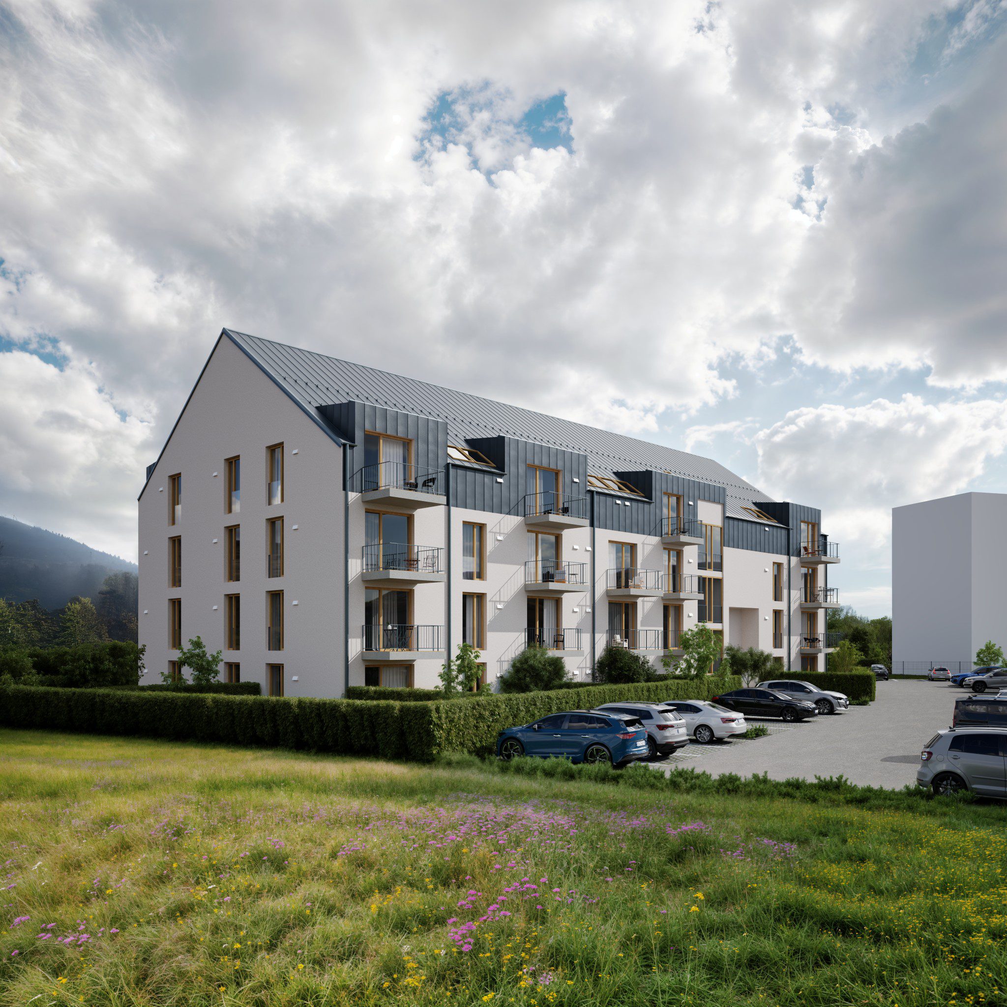 RB RENOVATIO / TREMOSNICE